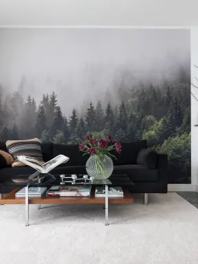 Une forêt de sapins mystérieuse avec des nappes de brouillard