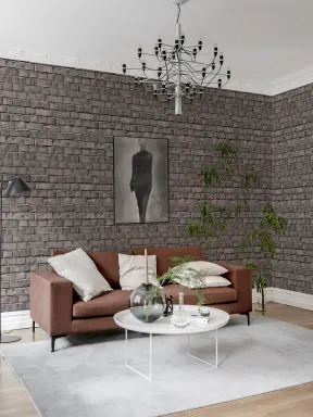 Bricks Clay