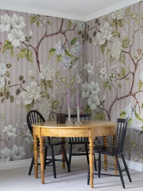 Branches Covered in Blossom