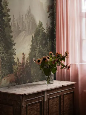 Paysages saisissants