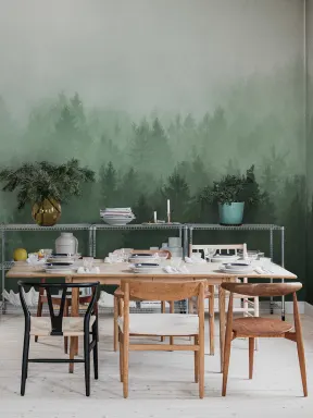 Photographie artistique de la forêt