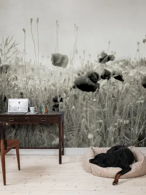 The Flowers of Your Dreams