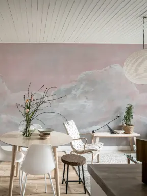 Blush Sky Wonders