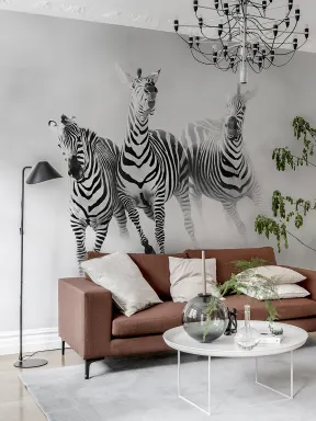 Graphic Zebras