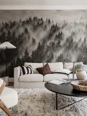 Foggy Forest