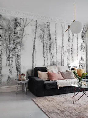Birch Trees