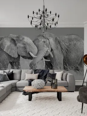Elephant Hug