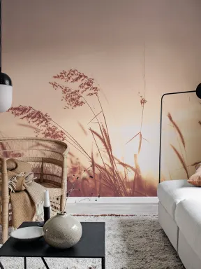 A summer feeling
