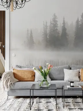 Winter morning by the lake