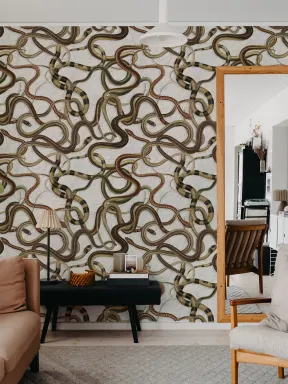 Nature's Elegant Patterns