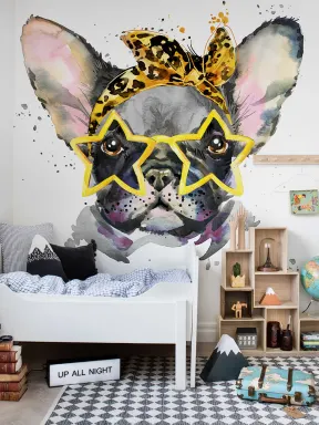 Französische Bulldogge: Hundische Coolness einfangen
