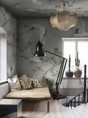Serene Motion