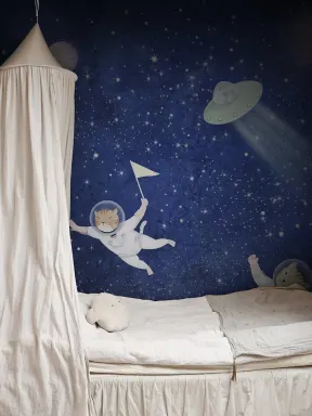 Space Cat Adventures