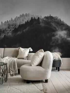 Monochrome Mountain