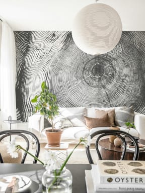 Organic Contrast