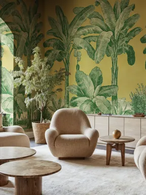 Renascimento tropical