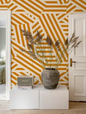 Bold Geometry