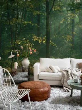 Sunlit Forest Escape