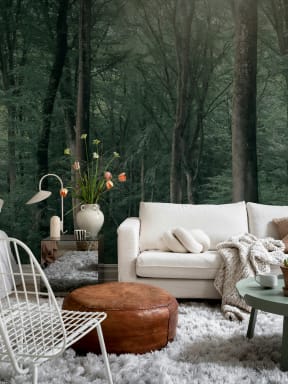 Enchanted Forest