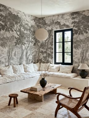 Rediscover Nature's Elegance