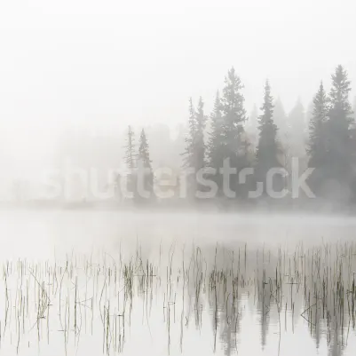 Frosty Lake pattern image