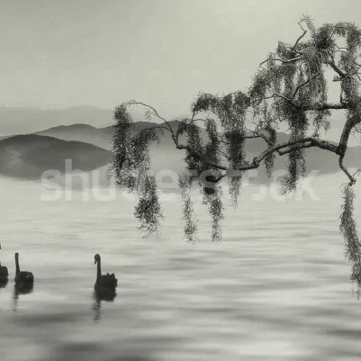 Zen Lake pattern image