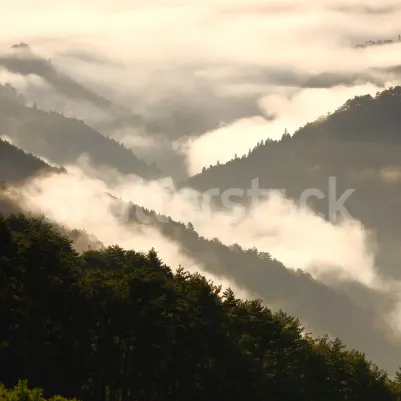Mountain View pattern image