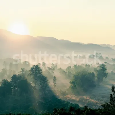 Morning Light pattern image