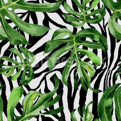 Jungle Zebra pattern image