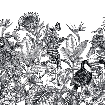 Birds Garden, Black & White pattern image