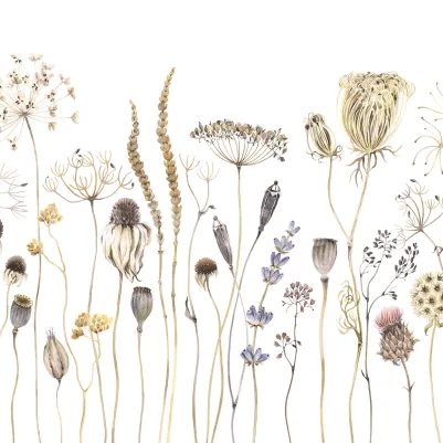 Dried Flower Meadow, Beige pattern image