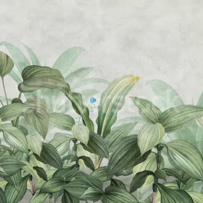 Hosta Bloom, Green pattern image