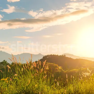 Sunrise Hills, Soft pattern image