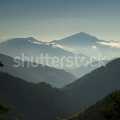 Magic Hills, Blue pattern image