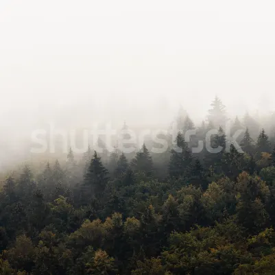 Hazy Hill, Morning pattern image