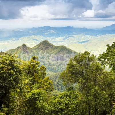 High Mountains, Green pattern image