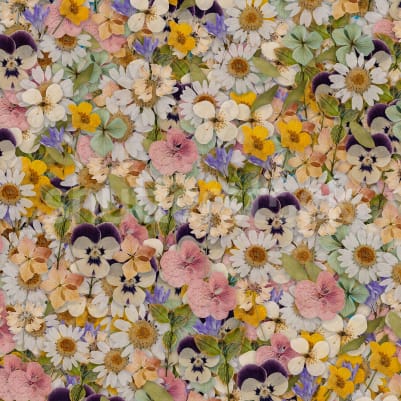 Floral Meadow, Multi pattern image