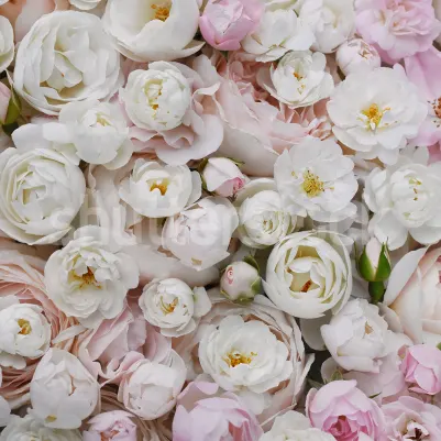 Bouquet of Buttercups, Pink pattern image