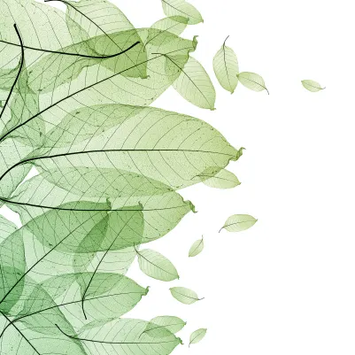 Foliage pattern image