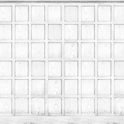 Panel, White pattern image