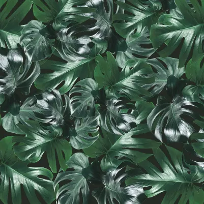 Welcome to the Jungle, Authentic pattern image