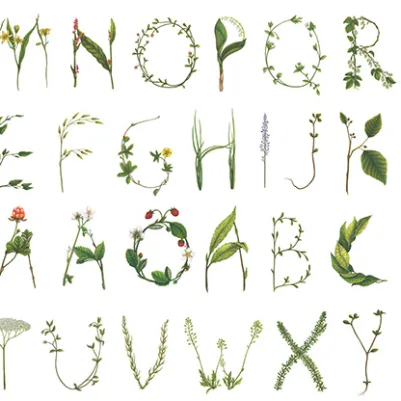 Floral Alphabet pattern image