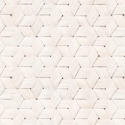 Birch Bark Braids, White pattern image