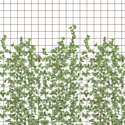Climbing Clorofyl pattern image