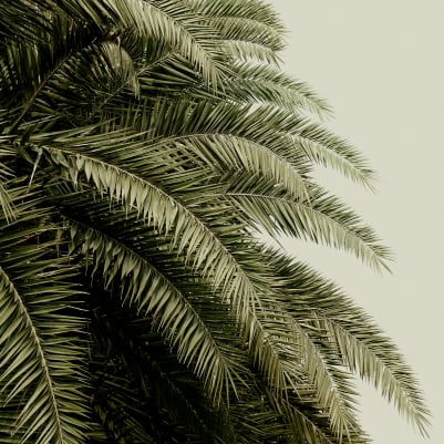 Leaf Love pattern image