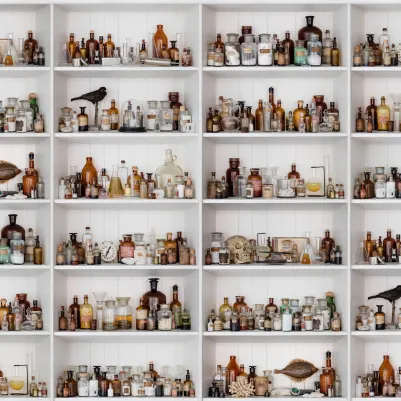 Cabinet of Curios pattern image
