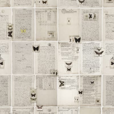The Butterfly Library pattern image