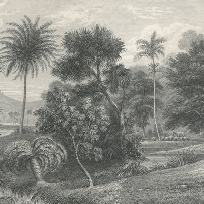 Jungle Land, Vintage pattern image