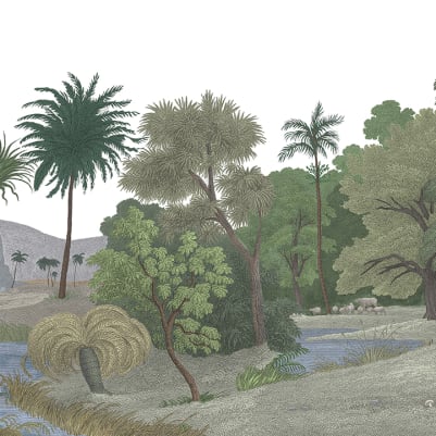 Jungle Land, Color pattern image