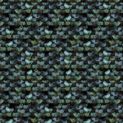 Peacock Plumage pattern image